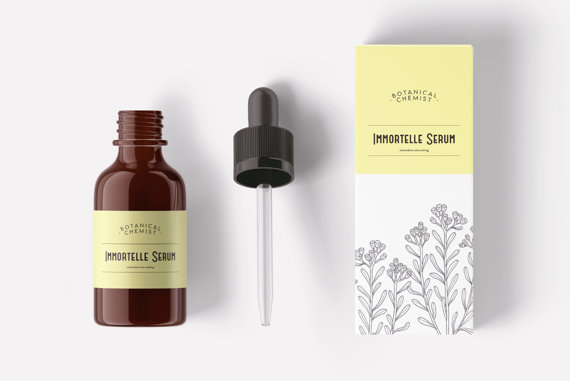 Packaging Design Template